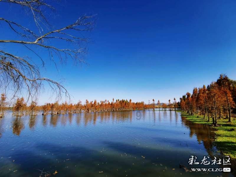 沪江开心词场